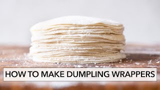 How to Make Dumpling Wrappers Dumpling Skins餃子皮  Lisa Lin [upl. by Ahsii]