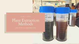 Plant Extraction Methods  Decoction and Maceration  JPTV [upl. by Nadabus131]