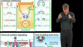 Kai Simons MPI Part 2 Lipid rafts as a membrane organizing principle [upl. by Immanuel]