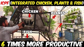 Integrated Chicken Plant and Fish Farm ICPF  Aquaponics for Beginners [upl. by Ardnaeed]