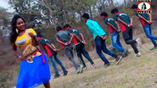 Purulia Song 2022  Jhule Jhule Ache  Biswanath amp Anita Das  Superhit  Manbhum Bangla Song [upl. by Nivre]