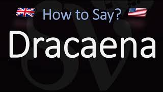 How to Pronounce Dracaena CORRECTLY [upl. by Teuton]