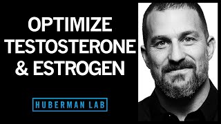 The Science of How to Optimize Testosterone amp Estrogen [upl. by Meldon749]