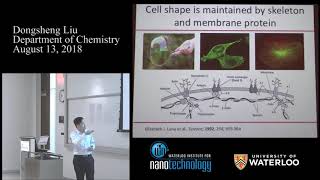 Professor Dongsheng Liu  WIN Seminar Series [upl. by Moishe782]