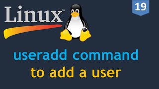 19  Linux for DevOps  Creating a User  useradd command  How to add a user on Linux [upl. by Azeria]