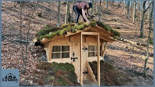 A dugout in the forest Covered the house Part 3 [upl. by Drewett732]