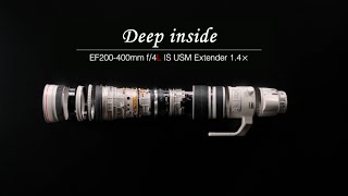 EF200400mm f4L IS USM Extender 14×quotDeep insidequot CanonOfficial [upl. by Belamy]