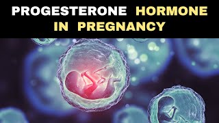 Progesterone The Miracle Hormone during Pregnancy [upl. by Schofield]