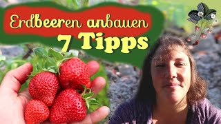 7 Tipps fürs 🍓 Erdbeeren anbauen [upl. by Inverson]