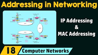 Addressing in Networking [upl. by Tindall608]