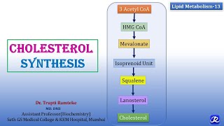 13 Cholesterol Synthesis  Lipid Metabolism13  Biochemistry  NJOY Biochemistry [upl. by Avonasac]