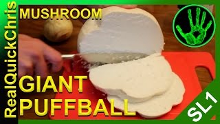 giant puffball mushroom to eat [upl. by Berlin584]